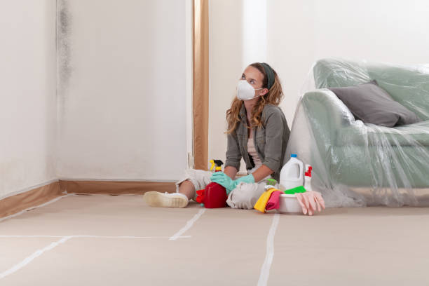 Reliable Mold Inspection contractor in Neshanic Station, NJ by WQB Mold Removal